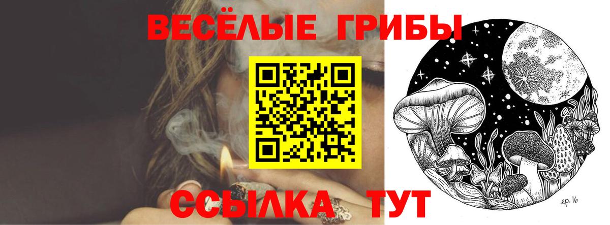 Галлюциногенные грибы прущие грибы  Вход с VPN  Прокопьевск 