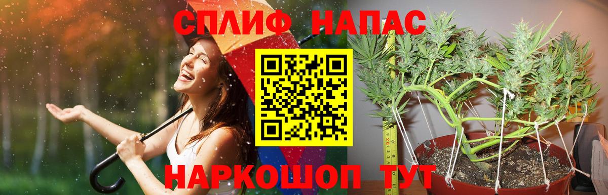 Шишки марихуана Amnesia Прокопьевск